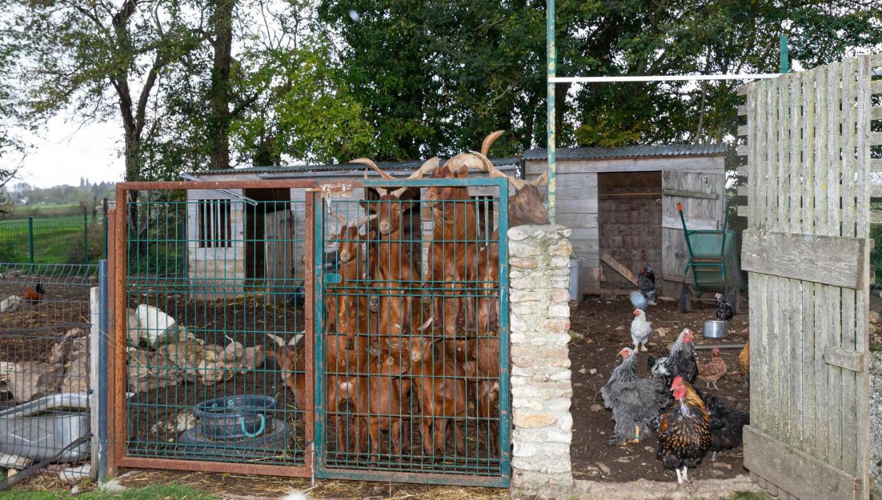 La Ferme Des Nonains Appartement Montjavoult Buitenkant foto
